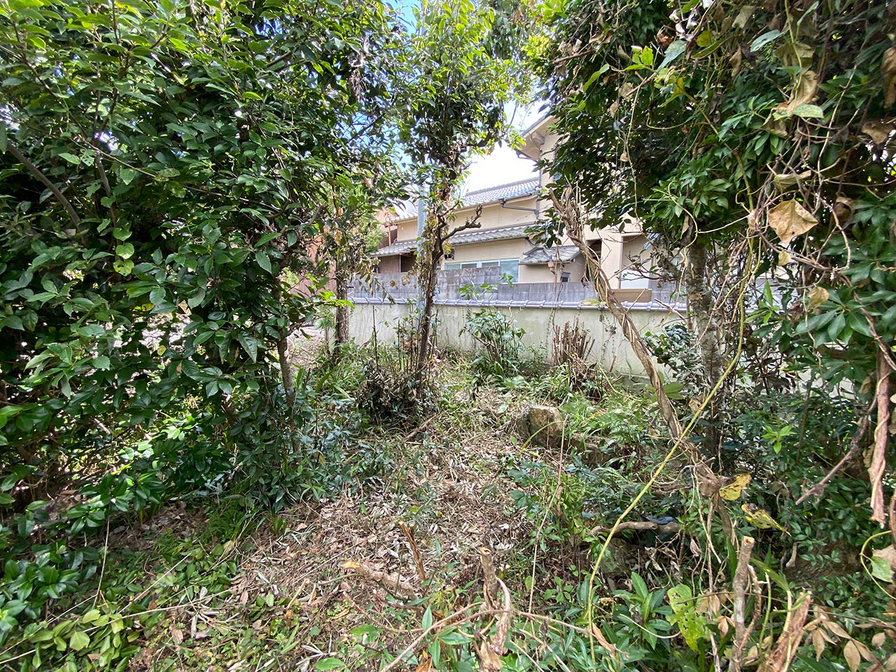 空き家管理　草刈り　剪定　施工完了