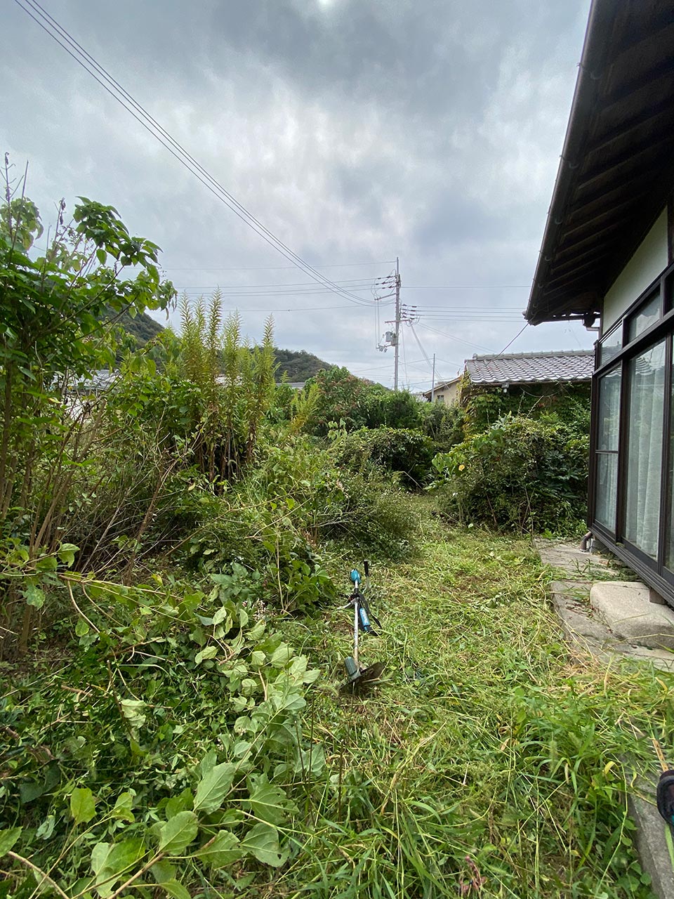 空き家管理　草刈り　剪定　施工中