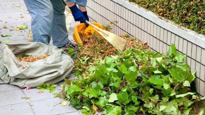 地域密着で安心のサポート
