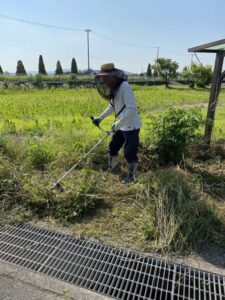 空き家管理サービスで草刈り、庭木の伐採。