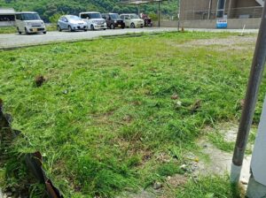 空き家管理報告レポート