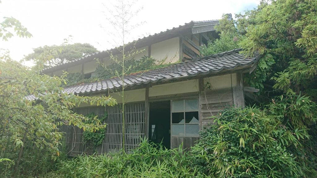 庭木や雑草を放置した空き家の末路は?対処しないと痛い増税