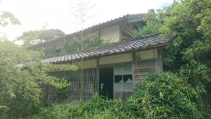 庭木や雑草を放置した空き家の末路は？対処しないと痛い増税