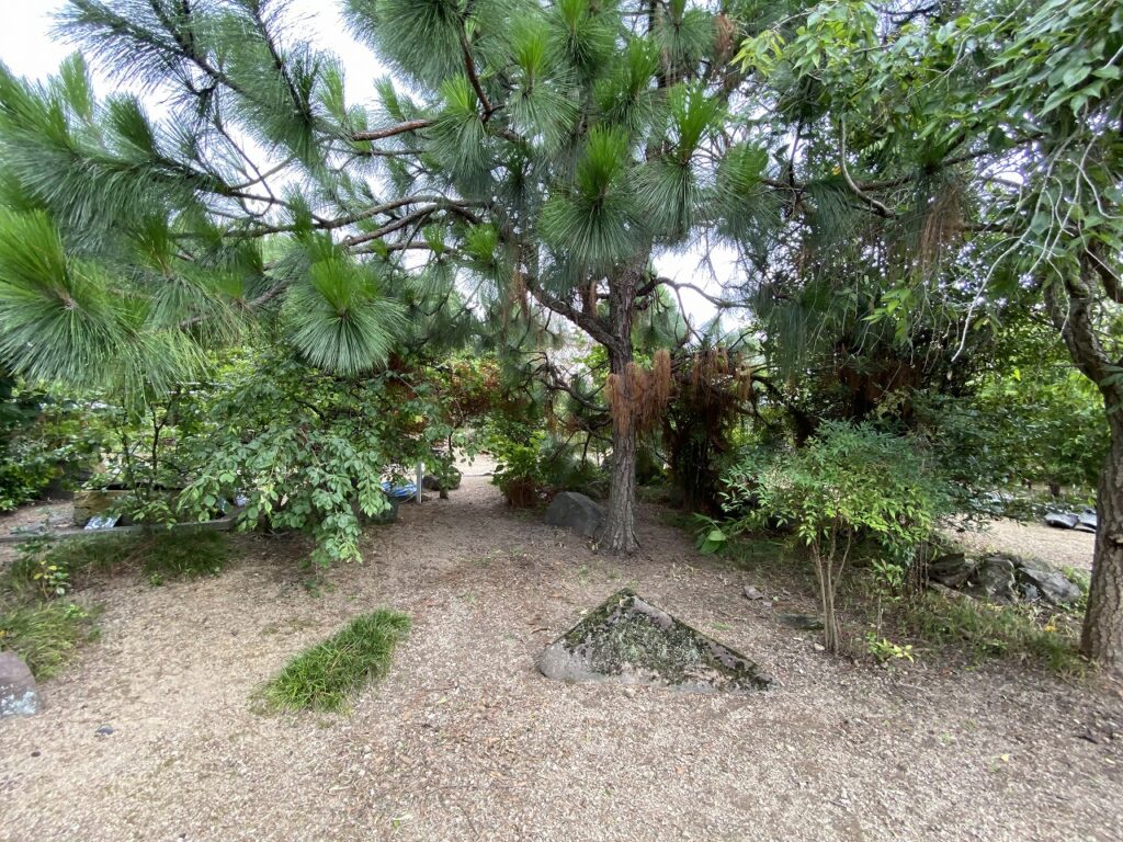 空き家対策:庭木は、伐採しなくてもいいススメ。