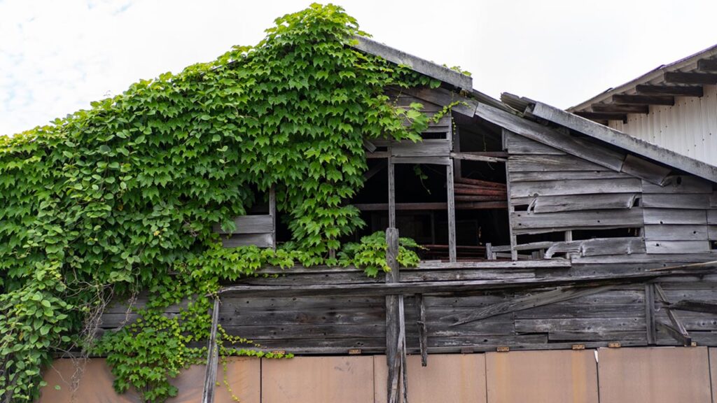 空き家問題、どう解決する？早いほど良いその理由