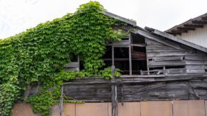 空き家問題、どう解決する？早いほど良いその理由