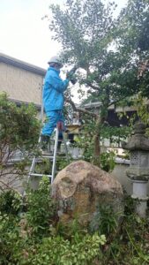 空き家管理　草刈り　剪定　施工中