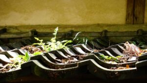 空き家が売れない…放置すると固定資産税は6倍！？﻿